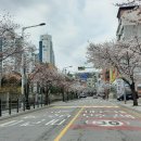 수레로1260번길 티스토리