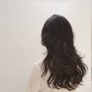 펠리아 광복점 이미지