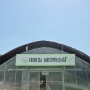 대구자라양식장 | 대구 근교 아이와 가볼만한 곳 추천 🦐 새움길 생태학습장 체험| 새우잡기·수경재배·새우버거만들기