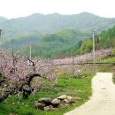 매괴박물관 이미지