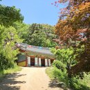 온수리 Daum카페