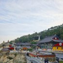 해동용궁사 이미지