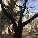 영구축산 이미지