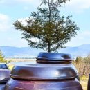 다산민박 이미지