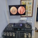 레티나메디칼 이미지