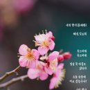 너의향기