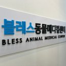 블레스동물메디컬센터 이미지