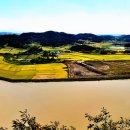 황금들녁 이미지