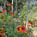 그리몽하우스 이미지