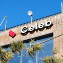 3264 | 오션뷰카페 데일리셀럽 영종도 카페 방문후기