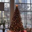 JJ농장 | 먹고 여행하고 돈 쓰고 얘기하고