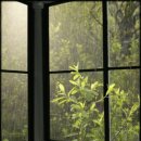 메이 (May) 이미지