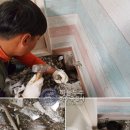 영산로 59번길 이미지