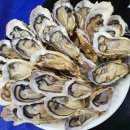 바다클라쓰 이미지