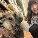 거시기노래연습장 이미지