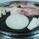 제주촌도야지