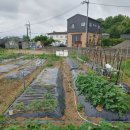 주대농장 이미지