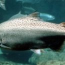 동오농장 이미지