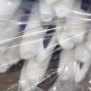 계룡내과의원 이미지