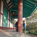 관란정 | 9월 첫째날 아침 황룡강변 자전거라이딩 &amp; 배롱나무 아름다운 [요월정원림] 다녀온 후기~*
