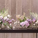 보코서울강남 이미지