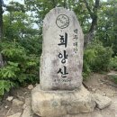 티-나네! | 희양산(충북 괴산군)94번째픽(240811)