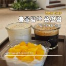 봄을담아 이미지