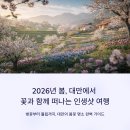 꽃동산국수 | 대만 봄꽃 명소와 사진 스팟 상세가이드 : 2026년 봄, 꽃과 함께 떠나는 인생샷 여행