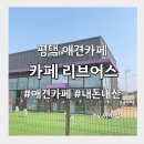 평택 서탄면 l 애견카페 카페 리브어스