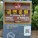 숲향기공원 화장실 이미지