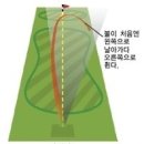 슬라이스 이미지