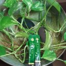 (주)평안에너지 이미지