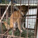 천연농장 이미지