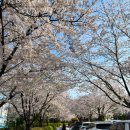 신석체육공원 입구 이미지