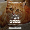 스마트동물병원 군자점 이미지
