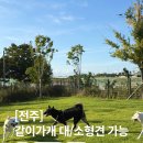 그 꼴로 산책가개? | [전주] 반려동물 놀이터 같이가개 | 무료입장 | 중ㆍ소형견존 | 대형견존