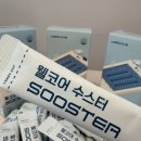 코어에너지 | 수영인의 에너지 부스터, 웰코어 수스터 내돈내산 10박스 후기 (성분 분석)