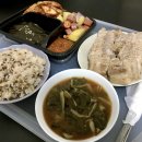제주연미민박 | 로마여행 로마 한인민박 비올라민박 조식 내돈내산 후기, 팔로우미민박 가격 비교