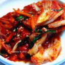 향원 Daum카페