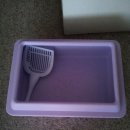 고양이 화장실 Cat litter box +scoop 팝니다 $5 이미지