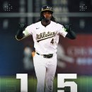 화이트21 이미지