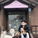 그대애개 이미지