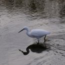 가창면사무소 이미지