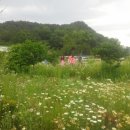 덕유산 뜰 펜션 이미지