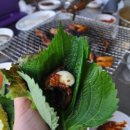 산호유통 이미지