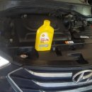 여주모터스(주) 이미지