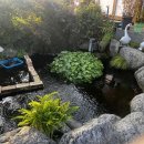 수원-0046 | 수원 고색동 삐에스몽테 한옥 감성 낭낭한 대형 베이커리 수원 빵지순례 내돈내산 솔직후기