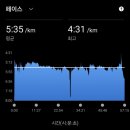 이문55 | 2026 서울K마라톤 10k 코스 완주후기/광화문 대회/이문설렁탕