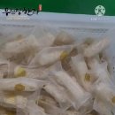 삼교농장 네이버블로그