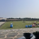 시재시재 이미지